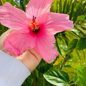 Meet your Posher, Lourdes